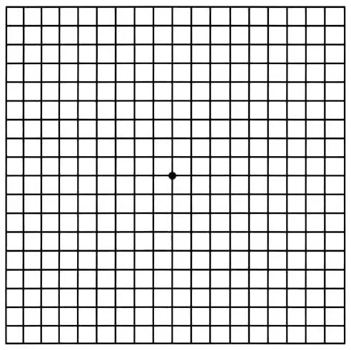 amsler grid