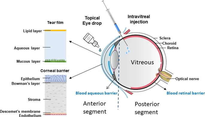 types of macular degeneration